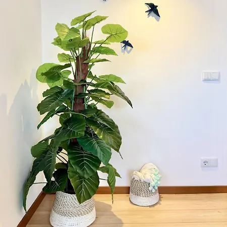 Casa Da Andorinha Azul - T3 - Surf & Sea Apartament Peniche